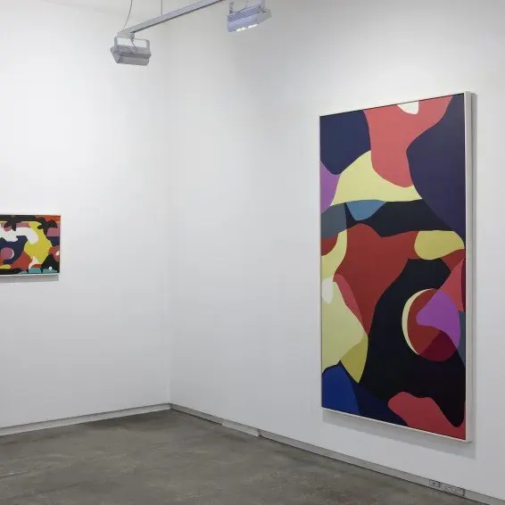 senses & Thoughts installation shot #12